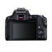 Фото Цифровой зеркальный фотоаппарат CANON EOS 250D EF-S 18-55 mm IS STM Black