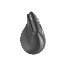 Фото Компьютерная мышь Rapoo EV310M