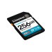 Фото Карта памяти Kingston SDG4/256GB Canvas Go Plus Gen4 C10 UHS-I U3 V30 256GB Фото Карта памяти Kingston SDG4/256GB Canvas Go Plus Gen4 C10 UHS-I U3 V30 256GB