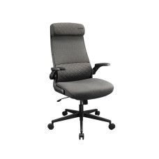 Фото Компьютерное кресло Cougar Stryder Gray